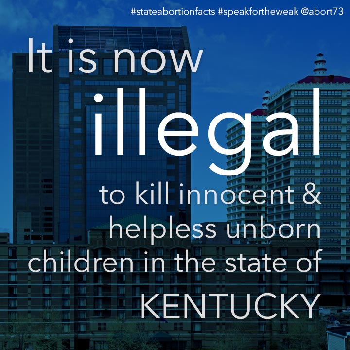 ≈ 7 innocent & helpless children are killed by abortion every day in Kentucky