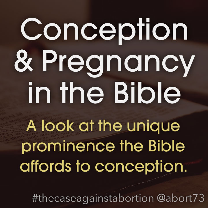 Conception & Pregnancy in the Bible: A look at the unique prominence the Bible affords to conception.