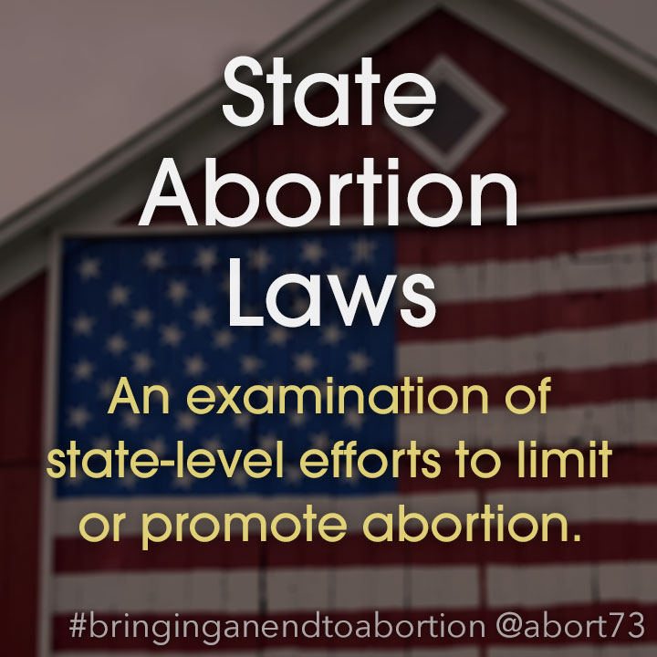 State Abortion Laws: An examination of state-level efforts to limit or promote abortion.