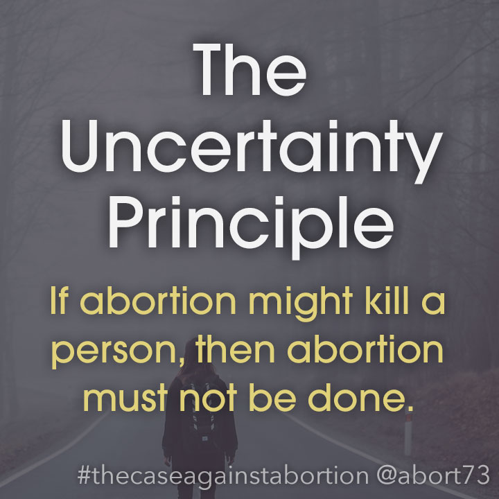 The Uncertainty Principle: If abortion might kill a person, then abortion must not be done.