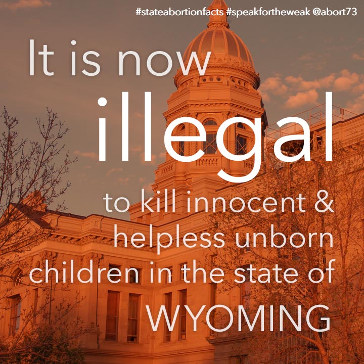 ≈ 1 innocent & helpless children are killed by abortion every <i>4</i> days in Wyoming