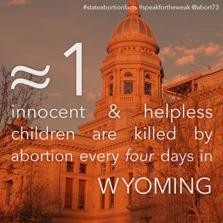 ≈ 1 innocent & helpless children are killed by abortion every <i>2</i> days in Wyoming
